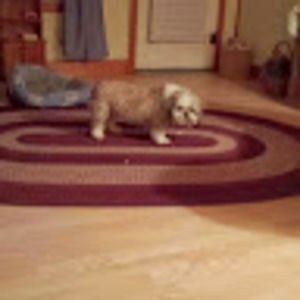 Meet your Posher, Cathy